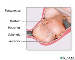 birth canal